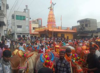 बाळदी येथे रिमझिम पावसात बैलपोळा उत्साहात साजरा